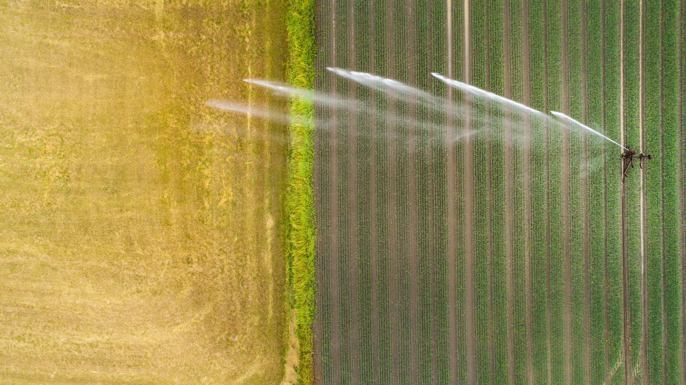 The Best In Irrigation Control Technology For Crop Farms