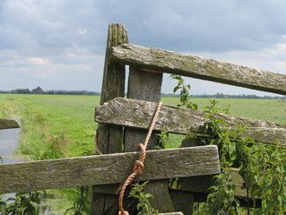 Farmers’ Health